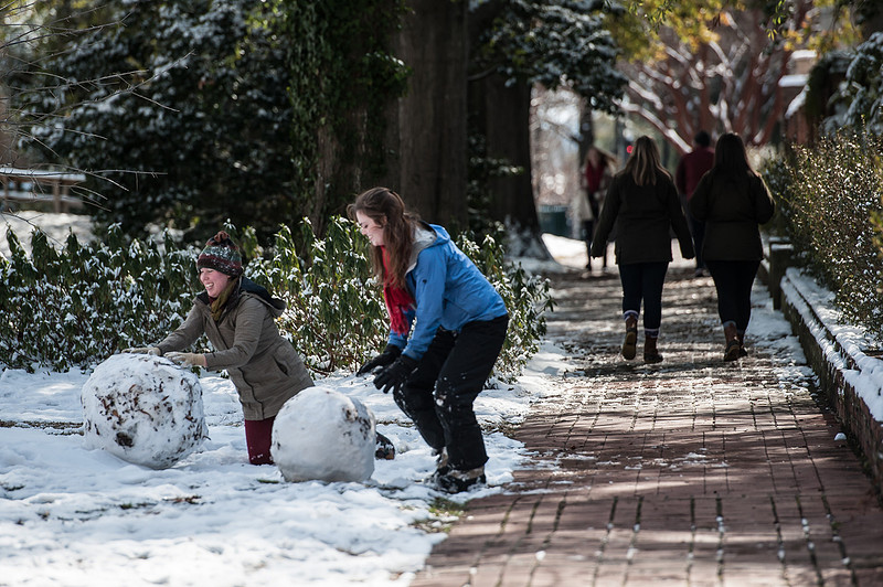 Snow in Columbia SC - Jan 2014