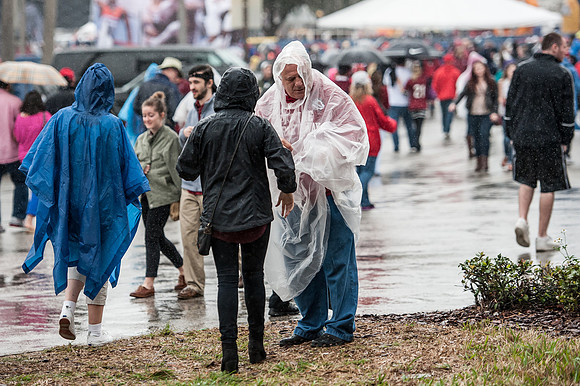 Citrus Bowl Photos - 2014