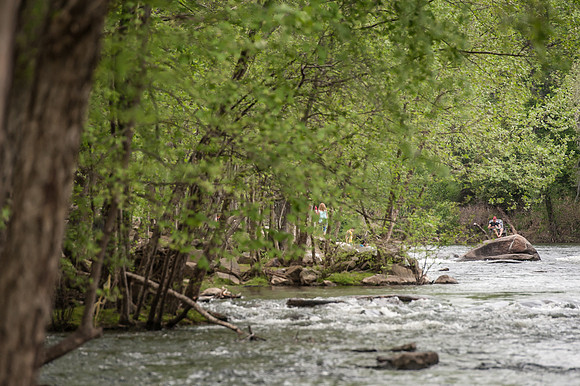 Columbia SC Photos - Congaree River