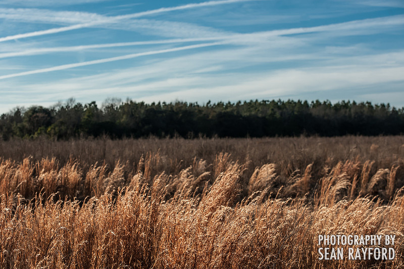 South Carolina Photos