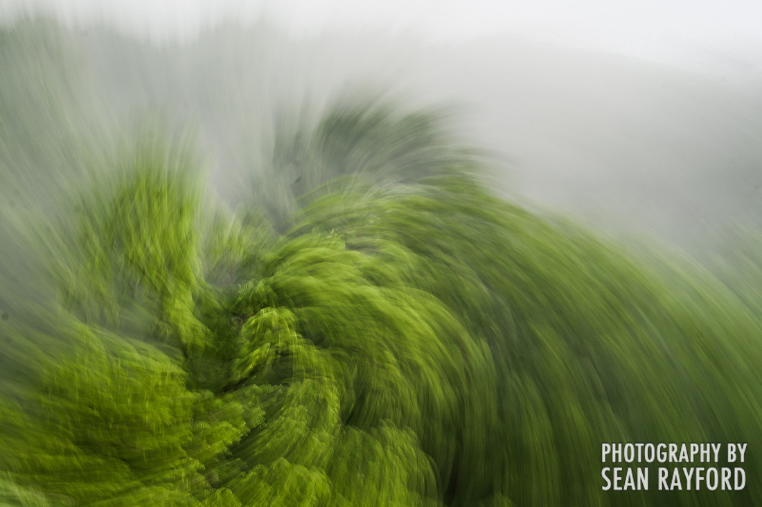 South Carolina Photographer Gets Bored