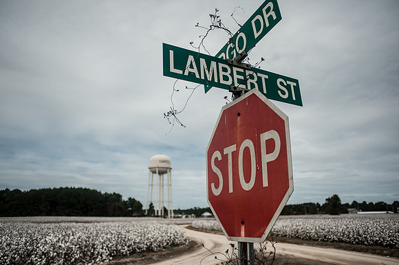 Cotton - South Carolina