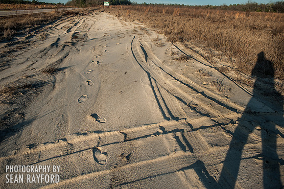 South Carolina Photos