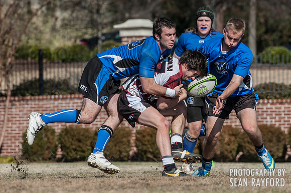 South Carolina Gamecocks Rugby Photos