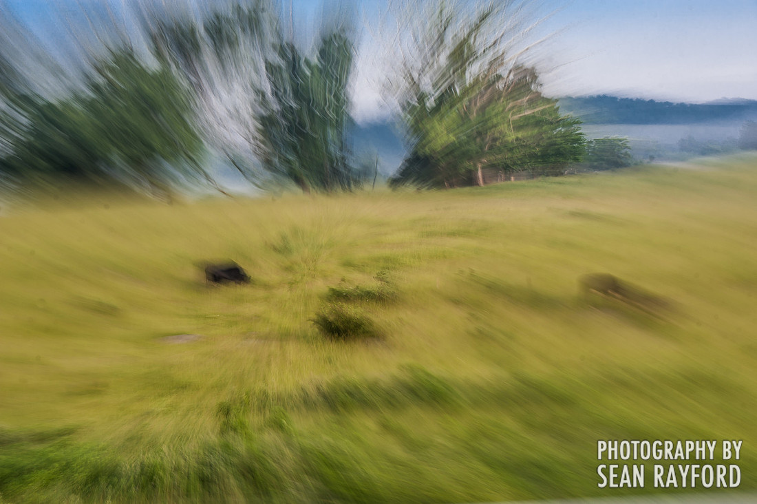 South Carolina Photographer Gets Bored