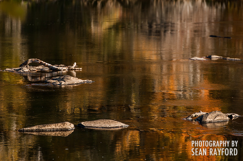Columbia SC Photography