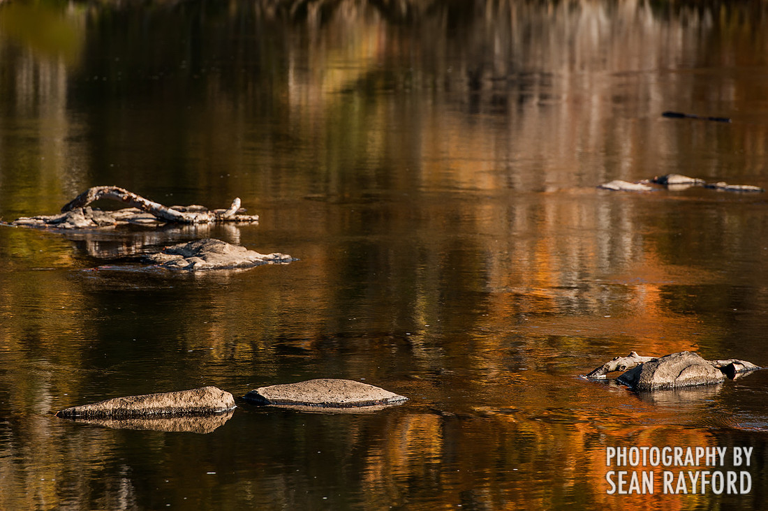 Columbia SC Photography