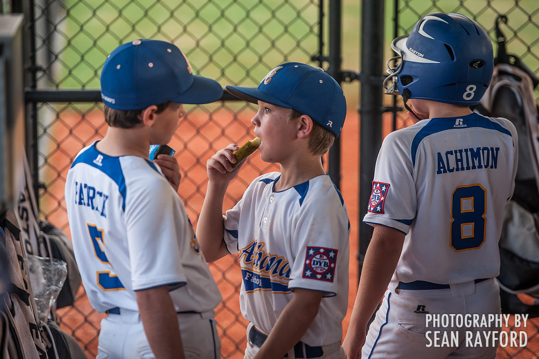 Dixie Youth World Series Photos