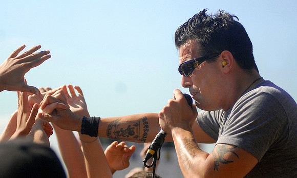 Street Dogs