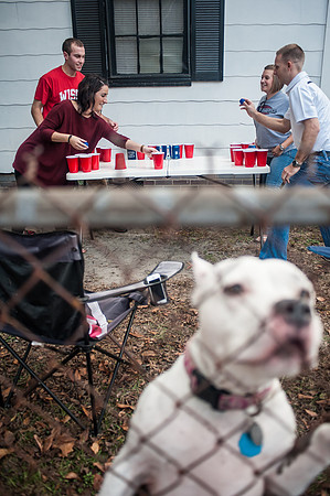 South Carolina Fan Photos