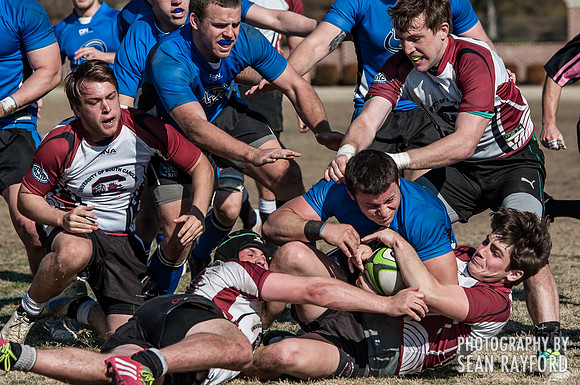 South Carolina Gamecocks Rugby Photos