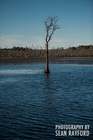 South Carolina Landscape Photography