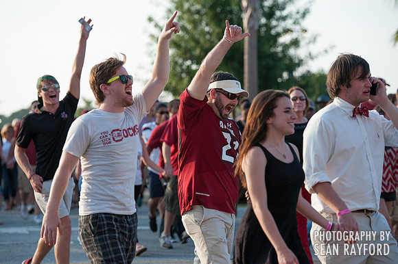 South Carolina Gamecock Fans