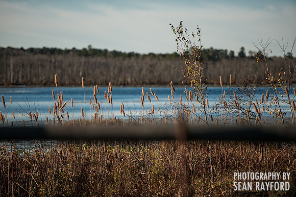 South Carolina Landscape Photography