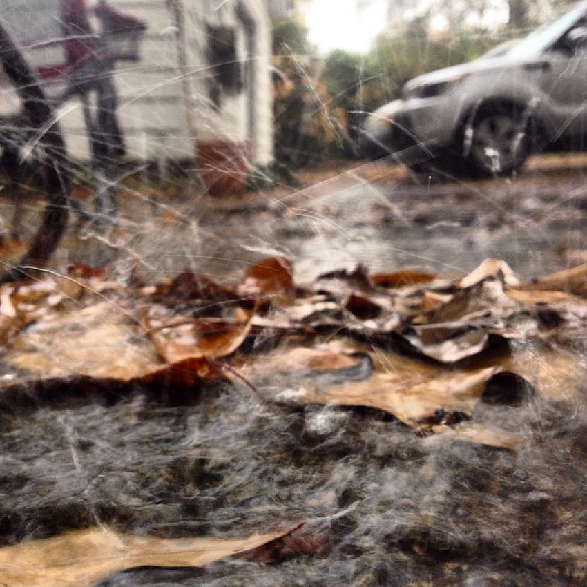 Columbia SC Photos