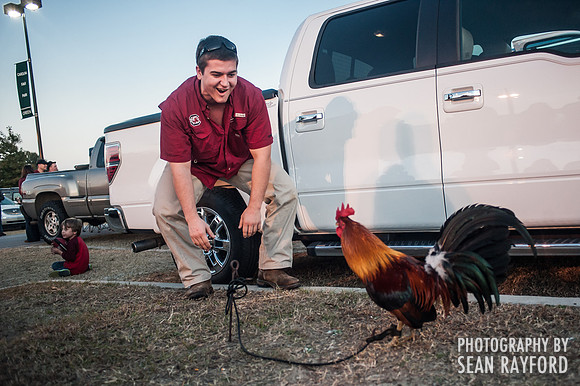 South Carolina Fan Photos