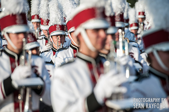 South Carolina Gamecock Fans