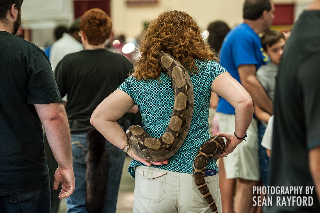 Repticon Columbia SC Photographer