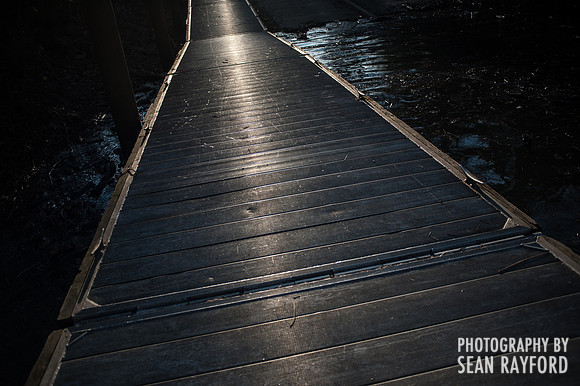 South Carolina Photography