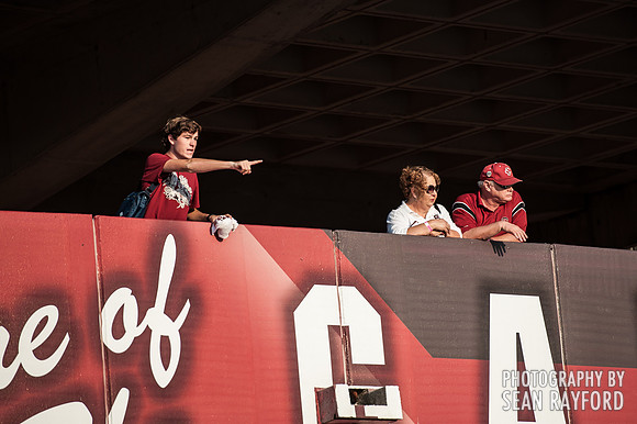 South Carolina Gamecock Fans