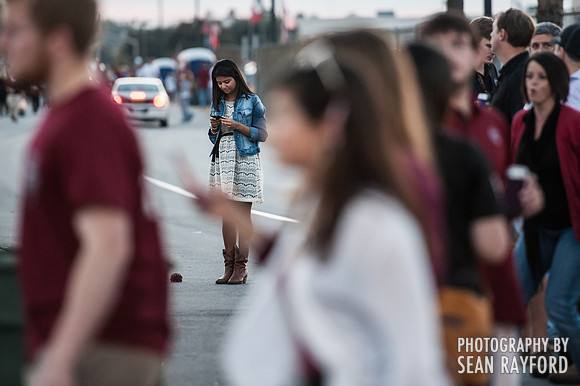 South Carolina Fan Photos