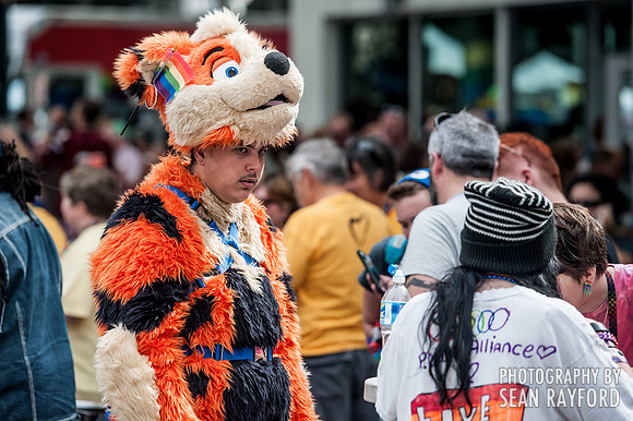 Pride Fest Photos - Columbia, SC
