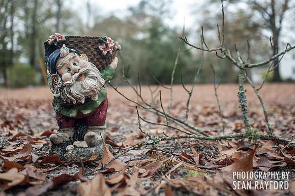 Columbia SC Photographer