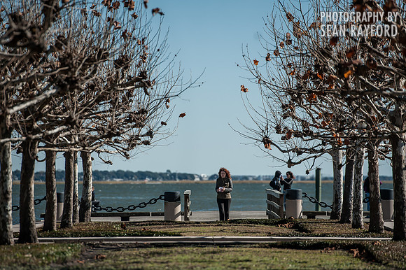 Charleston SC Phography