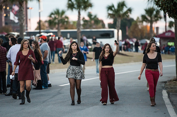 South Carolina Fan Photos