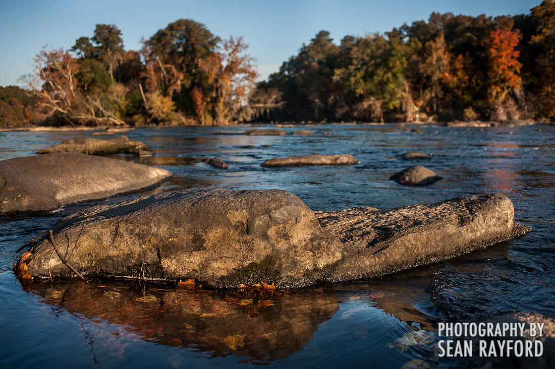Columbia SC Photography