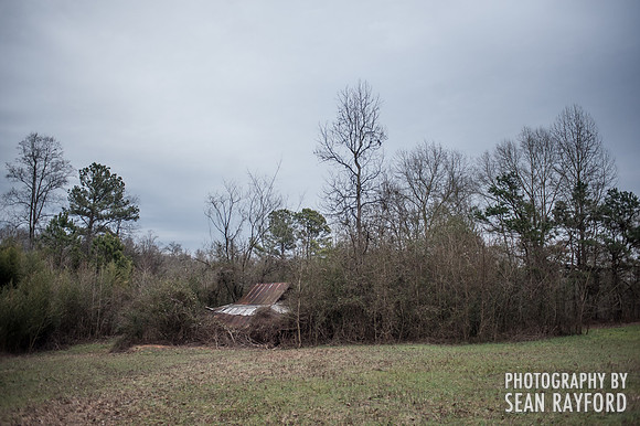 Big Foot Hunting near Seneca, SC