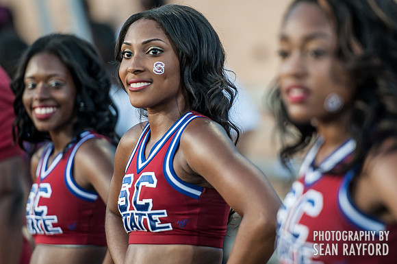 Palmetto Capital City Classic Photos - 2014