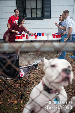 South Carolina Fan Photos