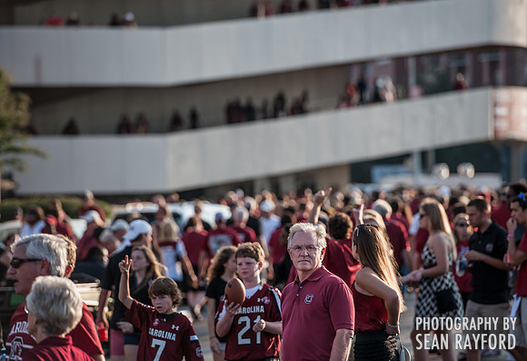 South Carolina Gamecock Fans