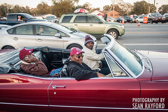 South Carolina Fan Photos