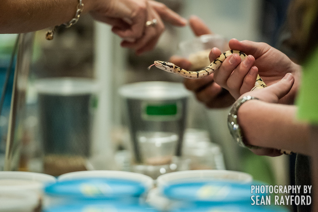 Repticon Columbia SC Photographer
