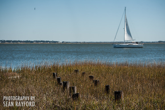Charleston SC Phography