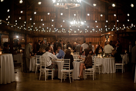 Columbia SC Wedding Photographer - Quinn and Whitney