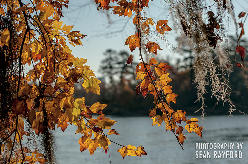 Columbia SC Photography