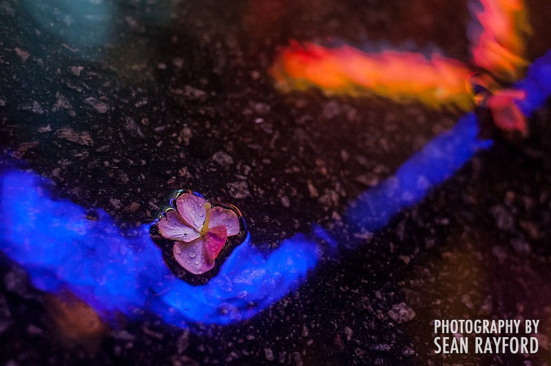 South Carolina State Fair Photos - Rainy Night