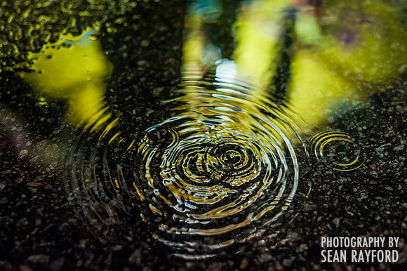 South Carolina State Fair Photos - Rainy Night