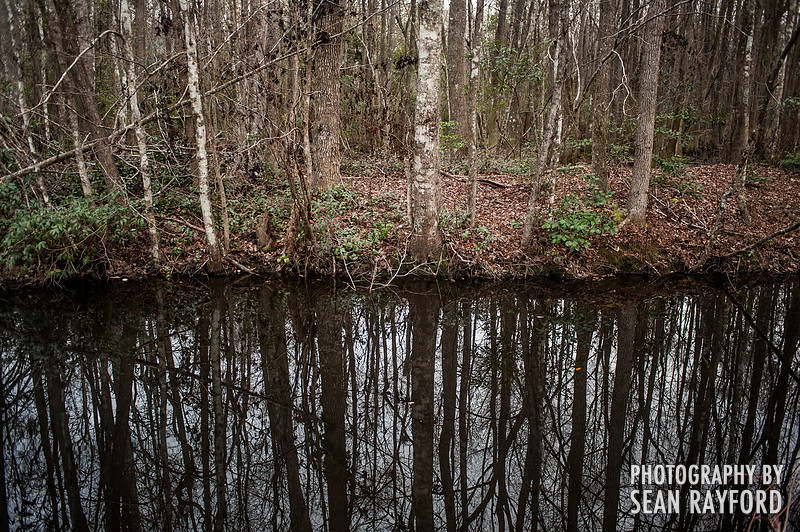 South Carolina Photography
