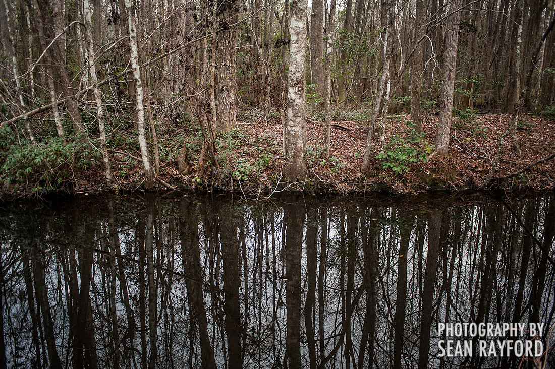 South Carolina Photography