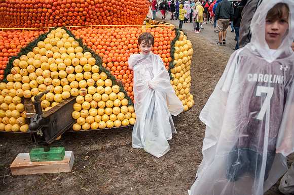 Citrus Bowl Photos - 2014