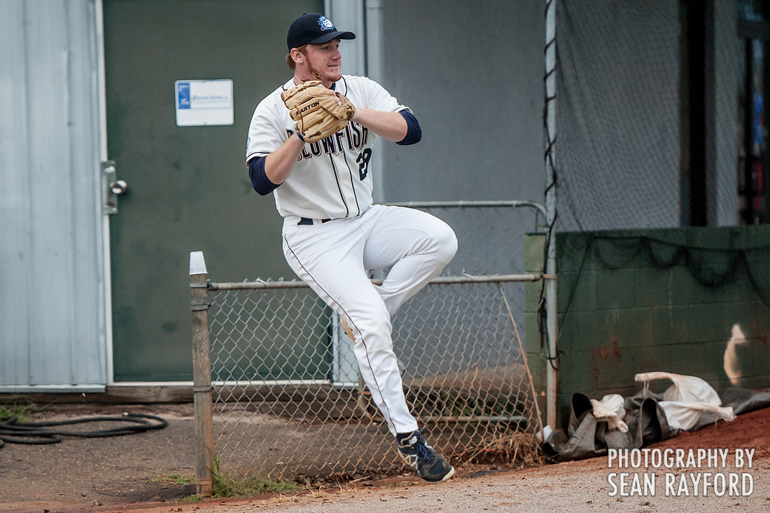 Columbia SC Blowfish Baseball Photos