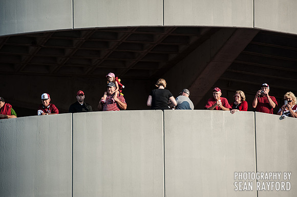 South Carolina Gamecock Fans