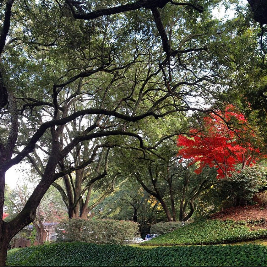 Columbia SC Photos