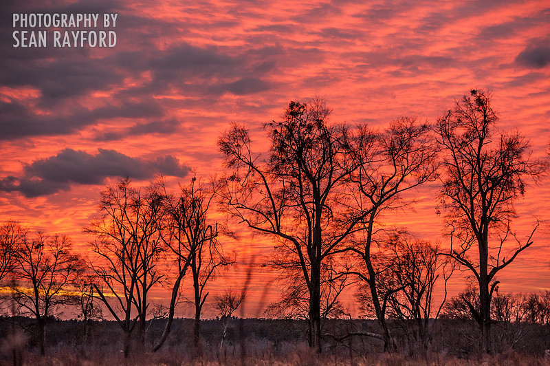 South Carolina Photography