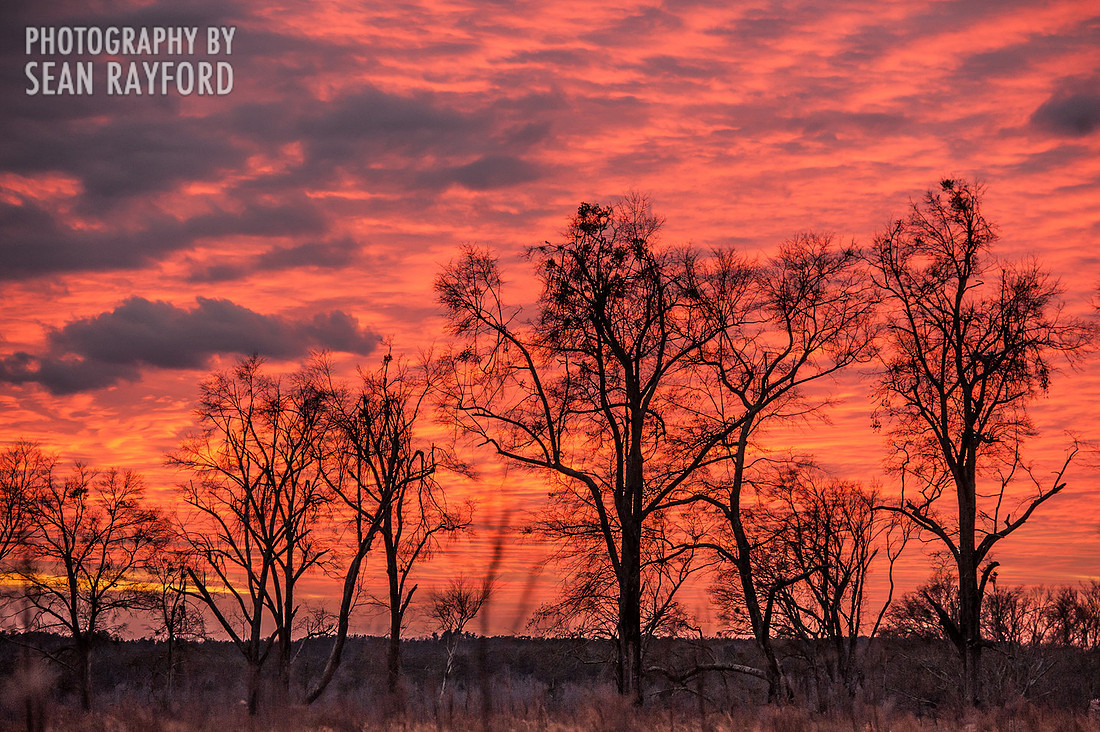 South Carolina Photography