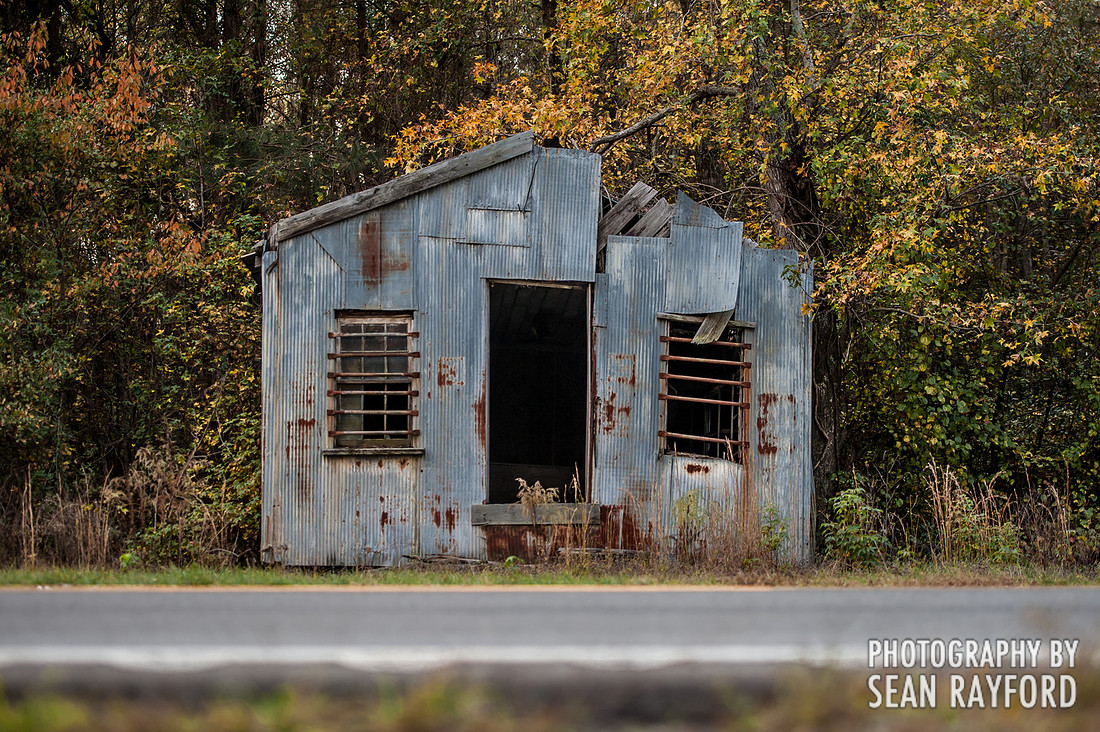 South Carolina Cotton Photos